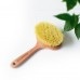 Dry Body Brush with Long Cactus Bristles & Handle